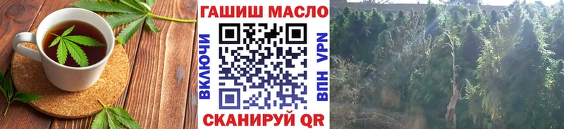 Canna-Cookies марихуана  кракен зеркало  Мытищи 