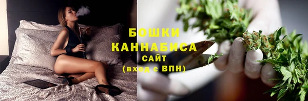 соль ск Строитель