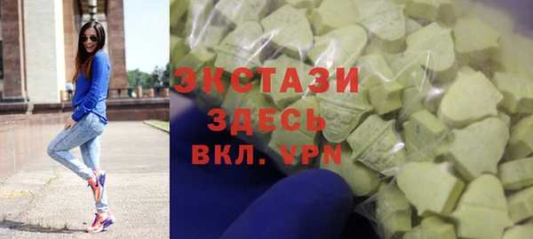 крисы Бородино