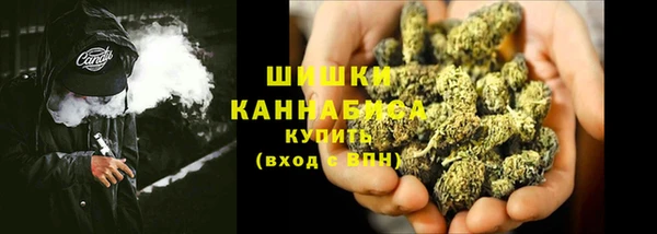 крисы Бородино