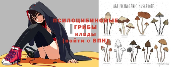 хмурый Ступино