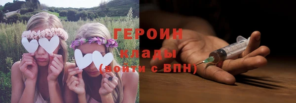 крисы Бородино