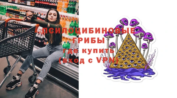 хмурый Ступино