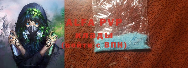 крисы Бородино