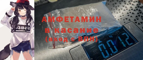 крисы Бородино