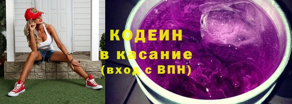 крисы Бородино
