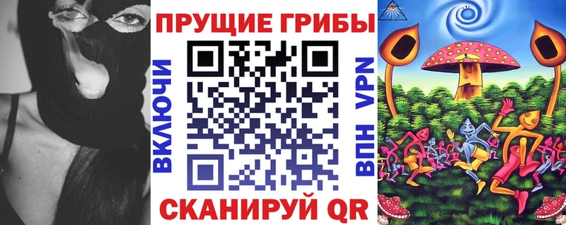 KRAKEN   Мытищи  Псилоцибиновые грибы ЛСД  закладка 
